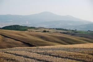 How to avoid land fraud in Nigeria